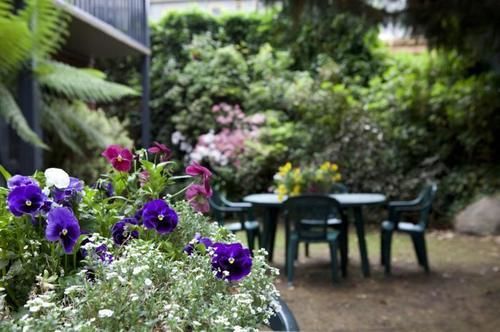 Armour Motor Inn Beechworth Εξωτερικό φωτογραφία